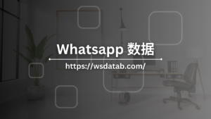 Whatsapp 数据